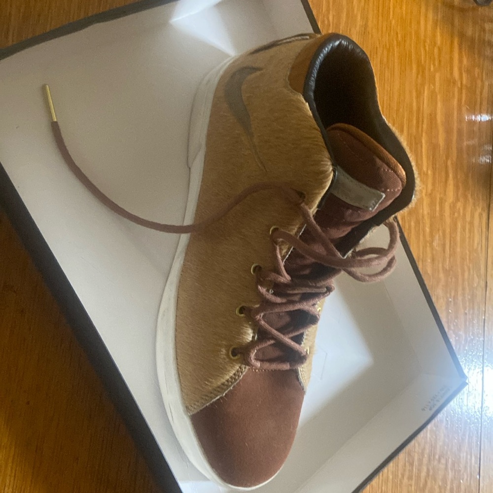 LeBron James Nike